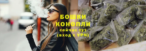 стаф Нефтегорск