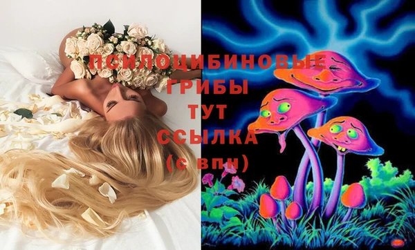 стаф Нефтегорск
