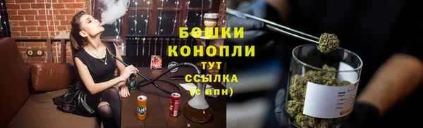 стаф Нефтегорск