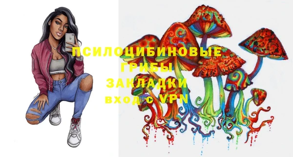 ПСИЛОЦИБИНОВЫЕ ГРИБЫ Нефтекумск
