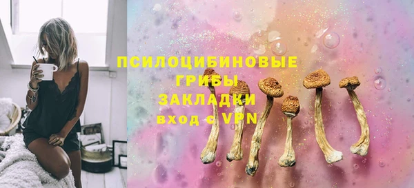 стаф Нефтегорск