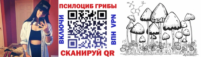 Галлюциногенные грибы прущие грибы  Зубцов 