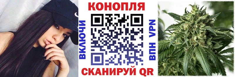 магазин  наркотиков  Зубцов  mega ссылка  Канабис индика 